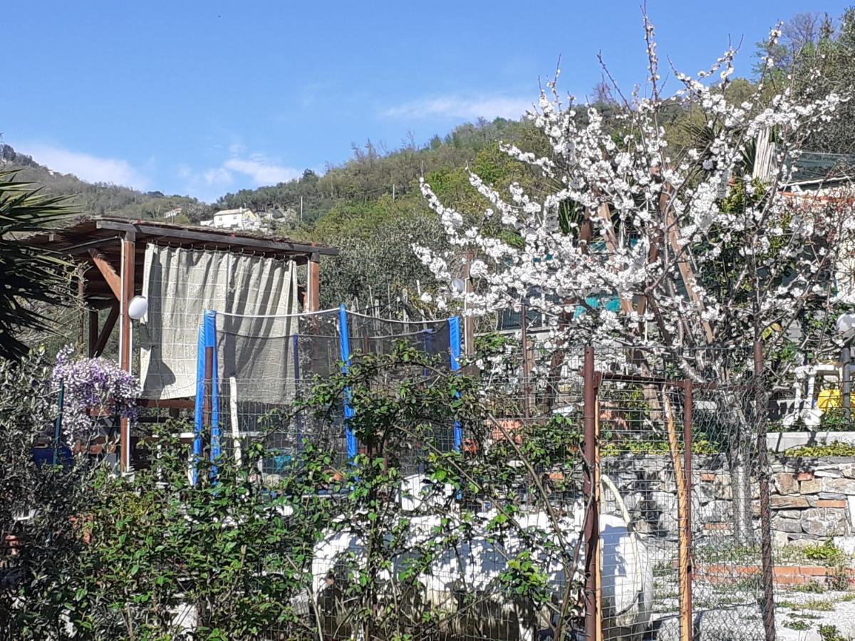 מונליה Marika'S Home מראה חיצוני תמונה